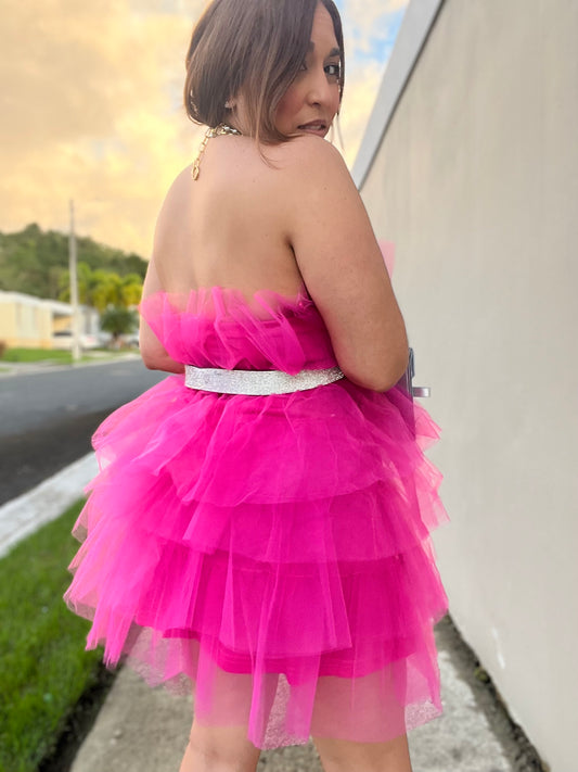 Princess Pink Tulle Dress